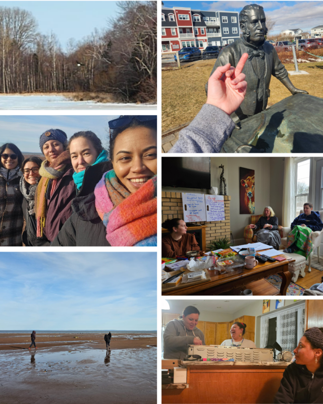 A collage of photos showing an eagle in flight, a hand flipping off a colonial statue, a group of women in a selfie, women in conversation, three figures silhouetted on a beach against a blue sky, and three women laughing in the kitchen