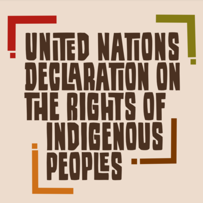 Stylized brown text against a peach background. Text reads "United Nations Declaration the Rights of Indigenous Peoples"