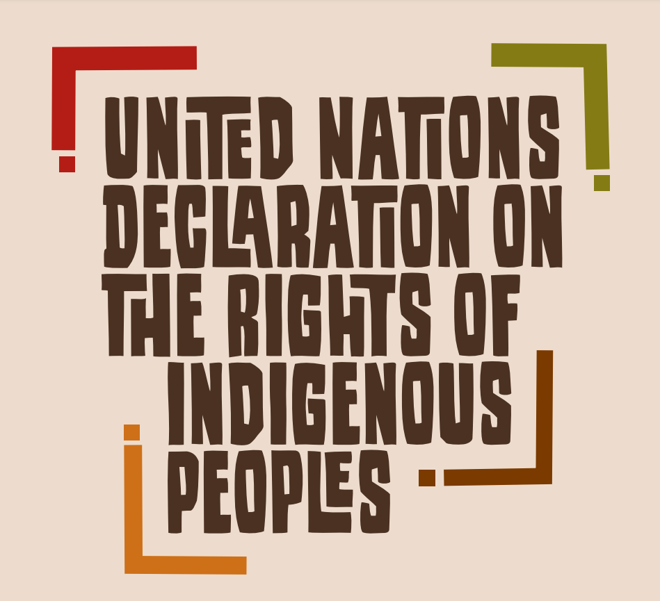 Stylized brown text against a peach background. Text reads "United Nations Declaration the Rights of Indigenous Peoples"