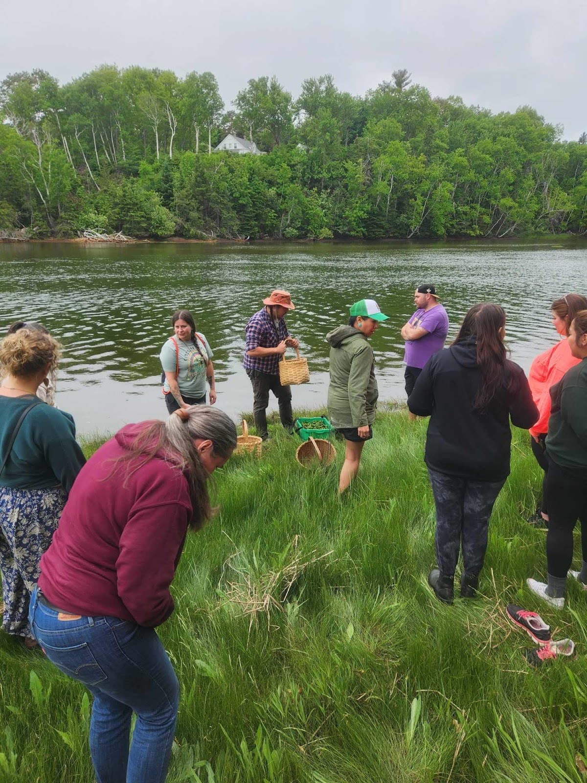 People outside gathering medicines by the water